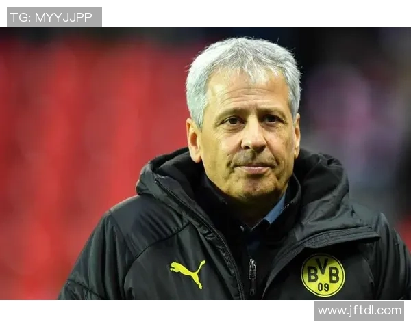 大黄蜂足球明星的辉煌历程与未来展望探讨 大黄蜂足球明星的辉煌历程与未来展望探讨