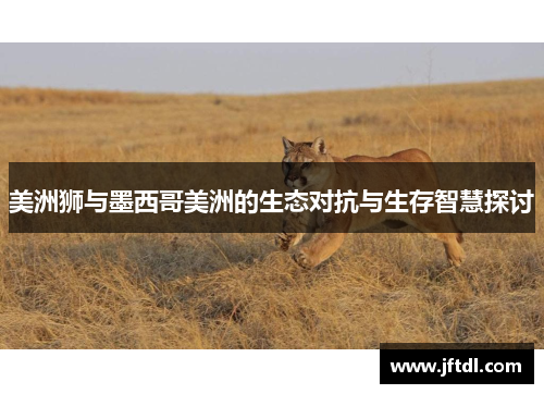 美洲狮与墨西哥美洲的生态对抗与生存智慧探讨